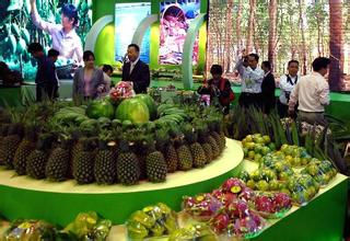 “十三五”我省做大做強熱帶特色高效農業(yè)農產品逐步實現(xiàn)“訂單式生產”