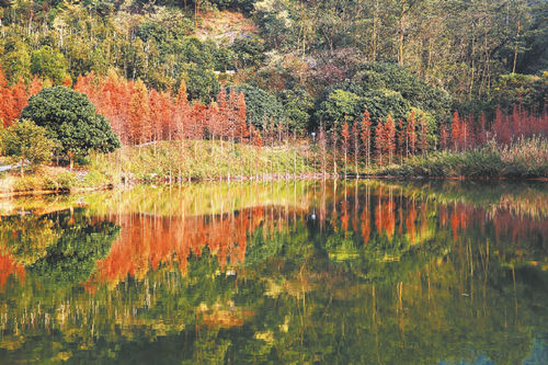 東莞榮膺“國(guó)家森林城市”稱號(hào)