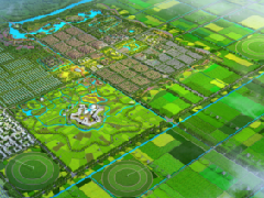 金山創(chuàng)建上海首家國家現代農業(yè)產業(yè)園