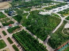 膠州、萊西獲選山東省省級現(xiàn)代農(nóng)業(yè)產(chǎn)業(yè)園建設(shè)主體