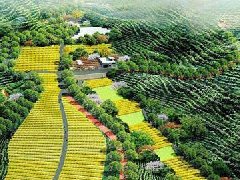 淄川區：山東淄博農業科技園區晉升“國家隊”