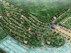 安新現(xiàn)代農(nóng)業(yè)產(chǎn)業(yè)園 萬(wàn)朵牡丹迎新春