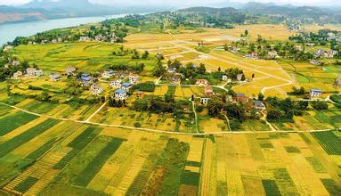 經濟轉型，要抓縣域經濟牛鼻子？