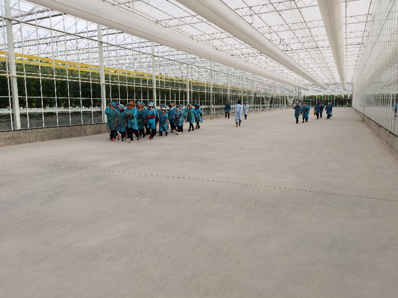 依托非耕地高效設(shè)施農(nóng)業(yè)，民樂縣著力打造特色戈壁農(nóng)業(yè)國(guó)家現(xiàn)代農(nóng)業(yè)產(chǎn)業(yè)園