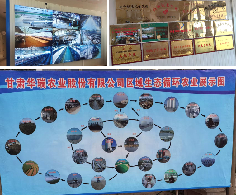 加強農業產業布局規劃，民樂縣向農業強縣進發