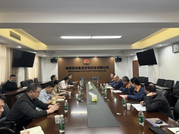 高新院走入湖南鋼鐵——以先進制造業(yè)集群撬動“新質(zhì)生產(chǎn)力”支點