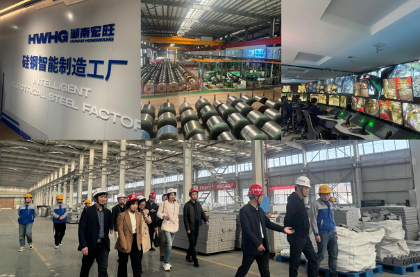 高新院走入湖南鋼鐵——以先進制造業(yè)集群撬動“新質(zhì)生產(chǎn)力”支點