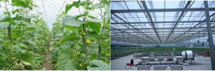 高新院再創(chuàng)佳績(jī)，又一國(guó)家現(xiàn)代農(nóng)業(yè)產(chǎn)業(yè)園誕生在三晉大地