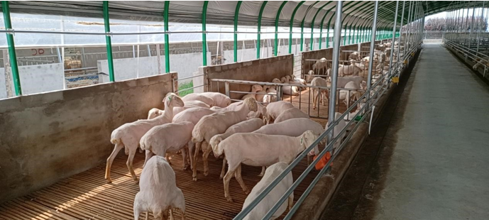 高新院再創(chuàng)佳績(jī)，又一國(guó)家現(xiàn)代農(nóng)業(yè)產(chǎn)業(yè)園誕生在三晉大地