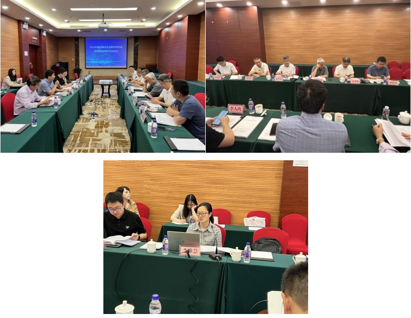 《培育發展湘潭市、婁底市、衡陽市先進鋼鐵材料集群實施方案》獲專家高度評價