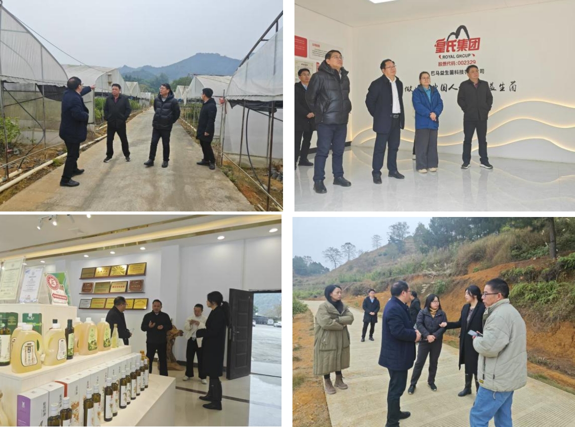 長(zhǎng)壽之鄉(xiāng)，逐路之行——高新院專(zhuān)家組一行赴廣西巴馬瑤族自治縣開(kāi)展河池農(nóng)高區(qū)創(chuàng)建調(diào)研