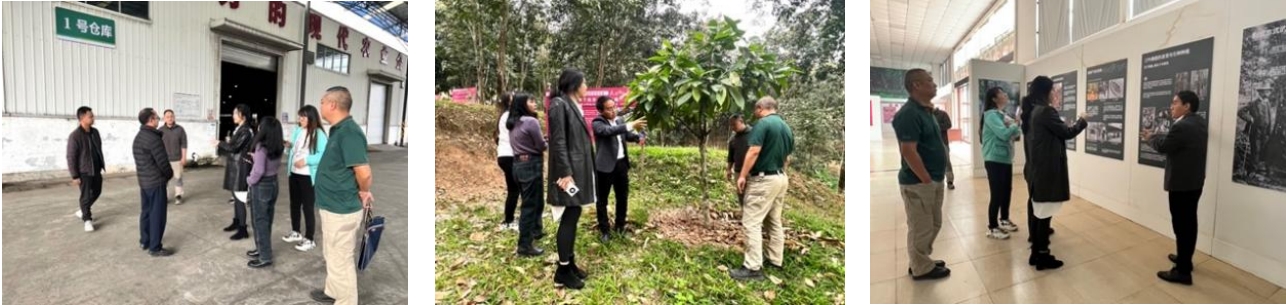 我院團(tuán)隊走入“中國天然橡膠第一縣”，與勐臘共赴國家現(xiàn)代農(nóng)業(yè)產(chǎn)業(yè)園建設(shè)之路