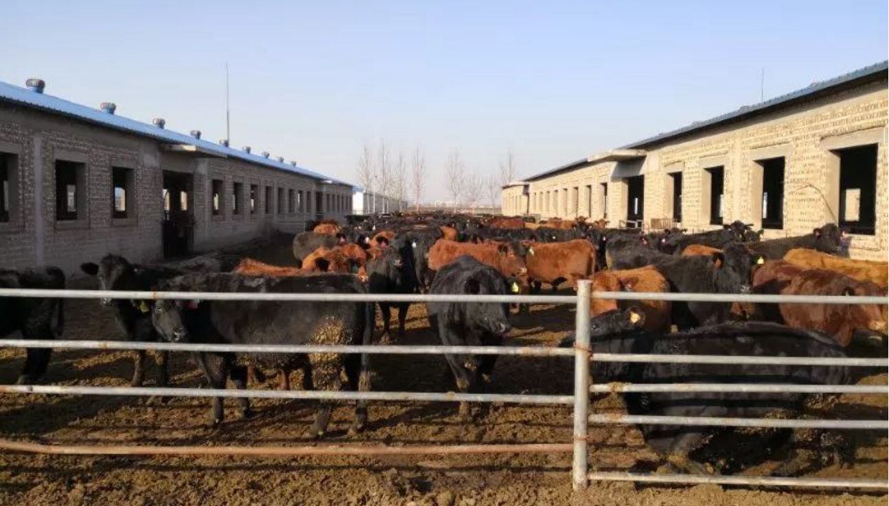 高新院賦能祁縣：雙輪驅(qū)動鑄就現(xiàn)代農(nóng)業(yè)產(chǎn)業(yè)園標(biāo)桿